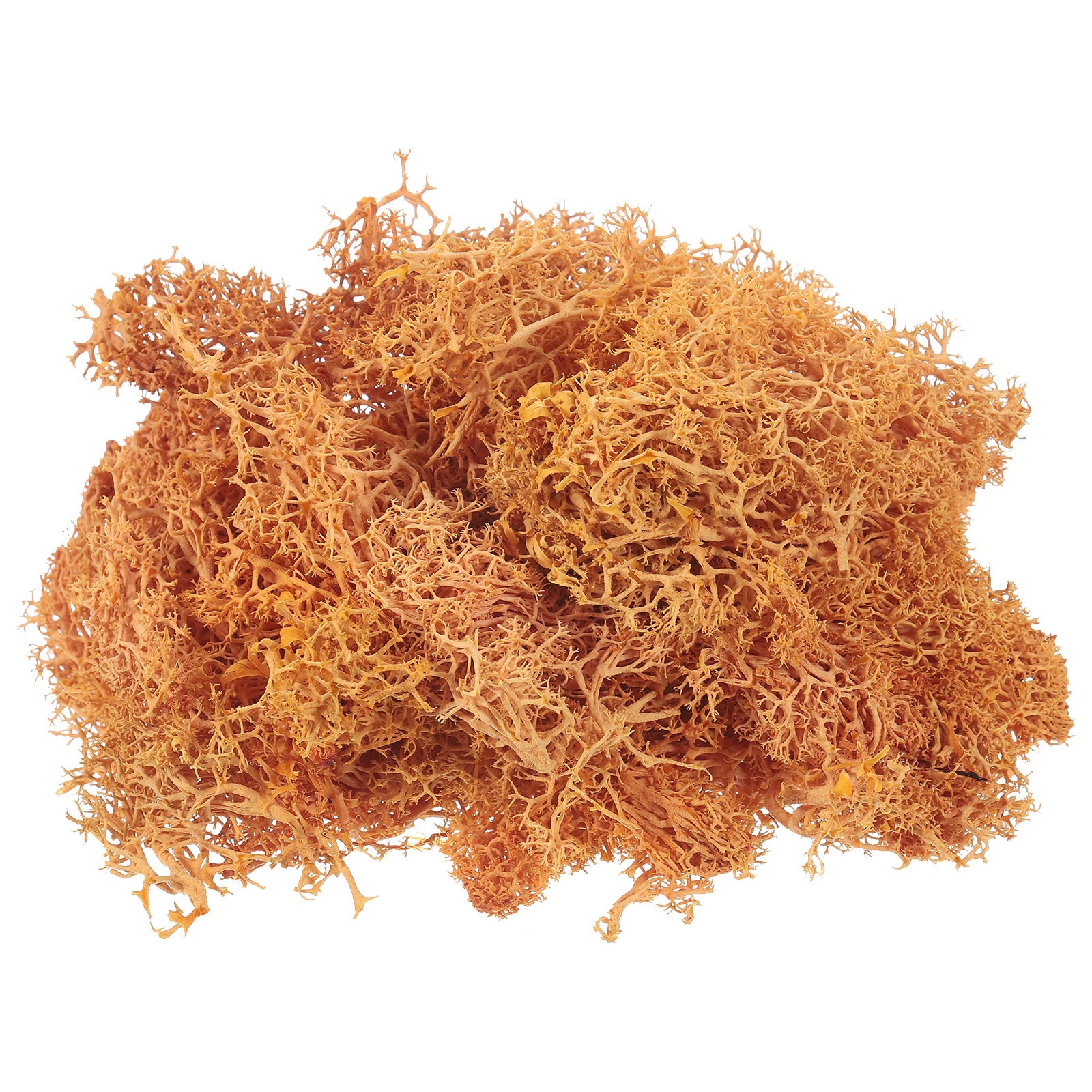 3.5 OZ Fake Moss Decorative Artificial Moss for Potted Plants Crafts, Orange