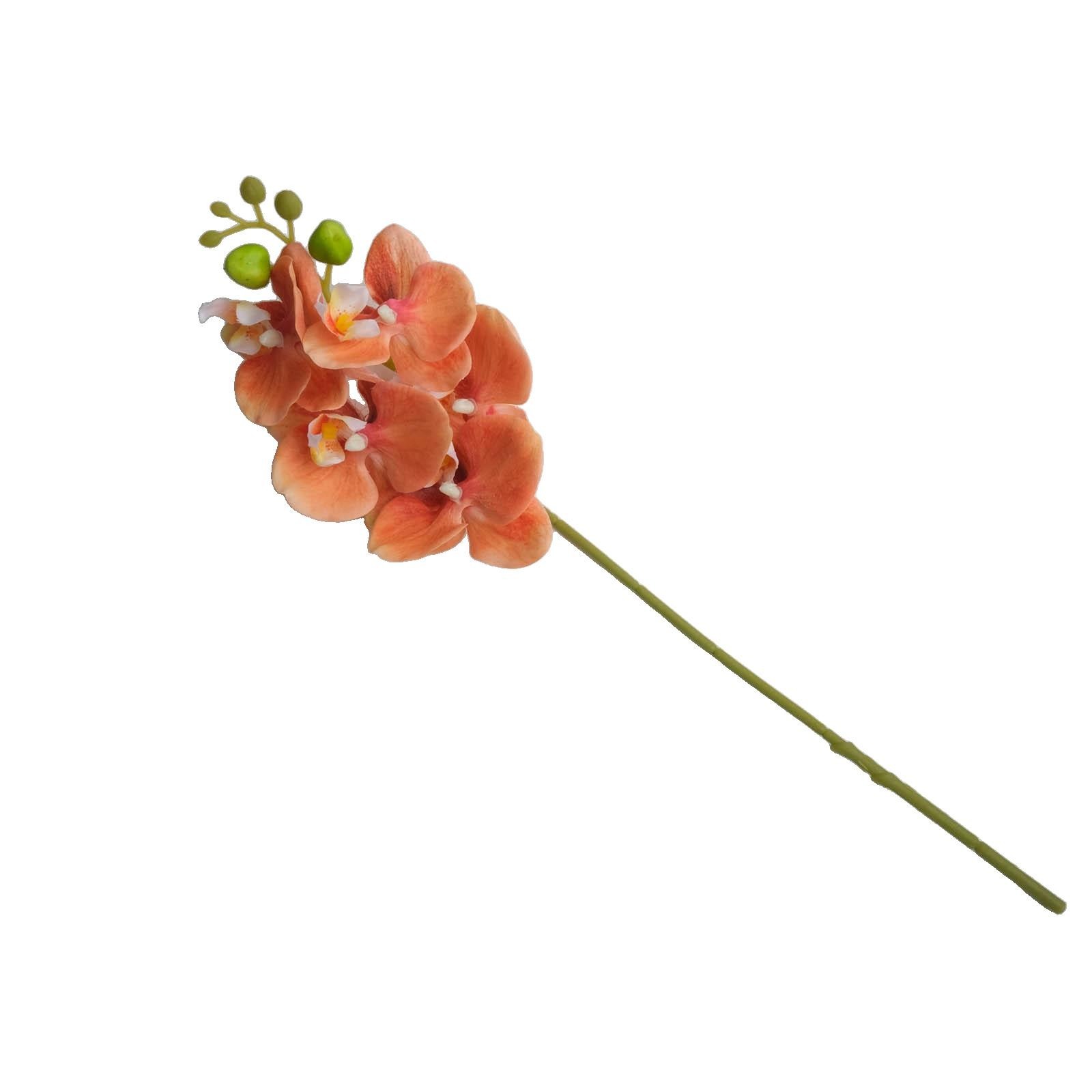 Lifelike Flowers Phalaenopsis Orchid Garden Decor Home Decor DIY Decoration
