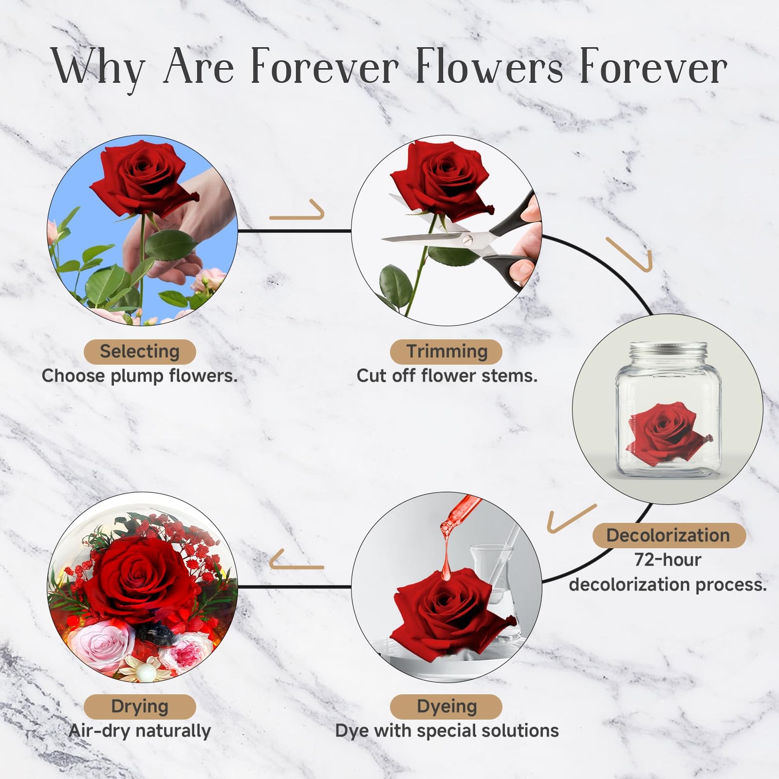 Preserved Red Roses in Glass Dome – Eternal Flowers, Forever Roses with LED L…