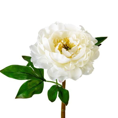 Artificial white with a hint of pink peony stem – REAL TOUCH