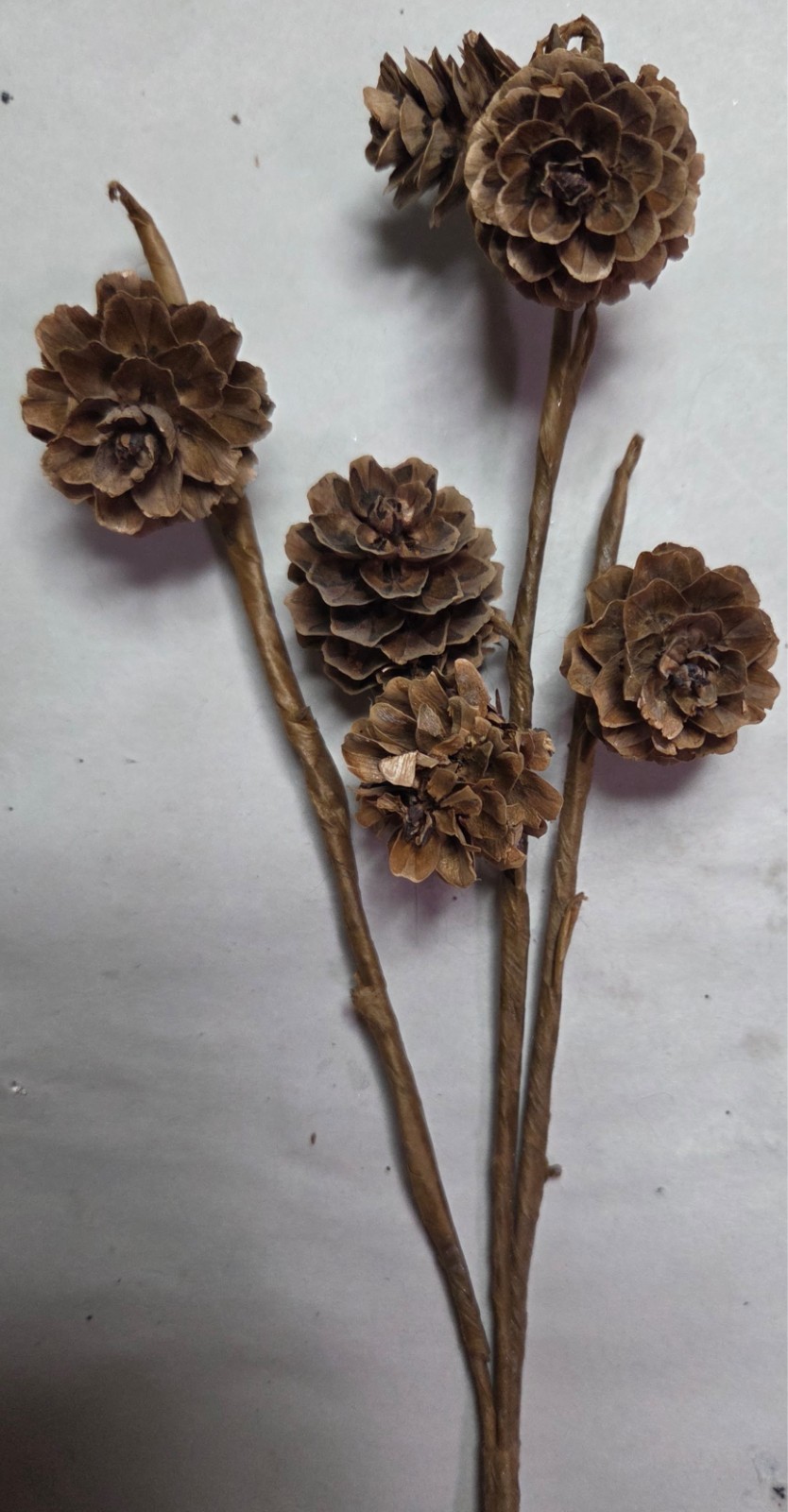 Lot of 9 Artificial Branches Picks Pinecones Mistletoe Fall Christmas Berries