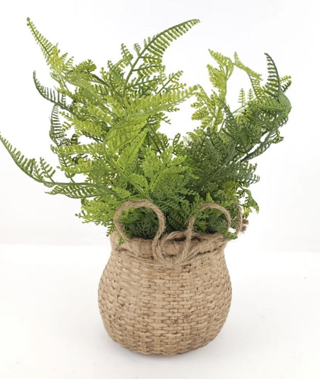 Natural Touch Lace Fern in Faux Woven Basket Valerie Parr Hill 12”