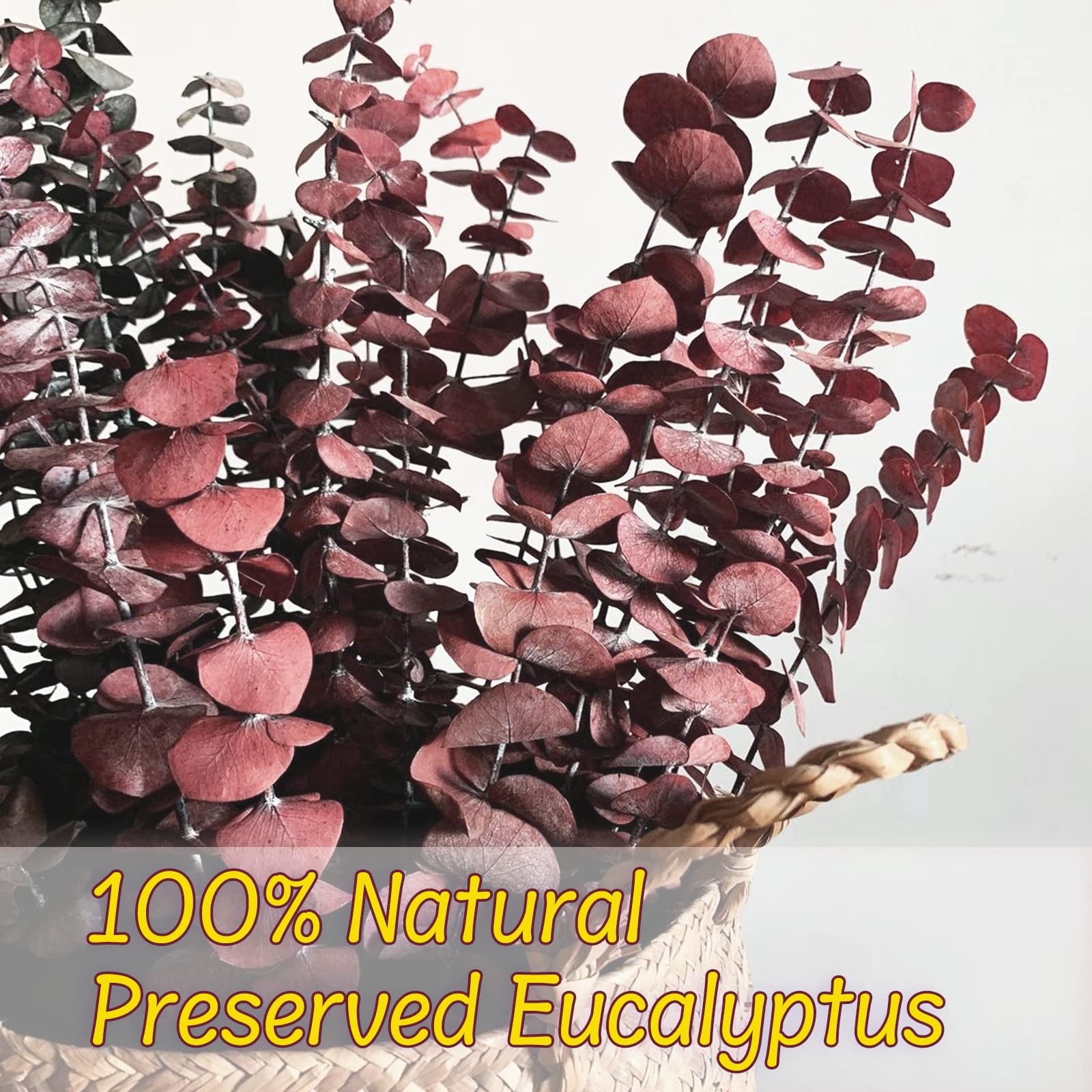 16Pcs Dried Red Eucalyptus Stems 17”, Real Preserved Branches