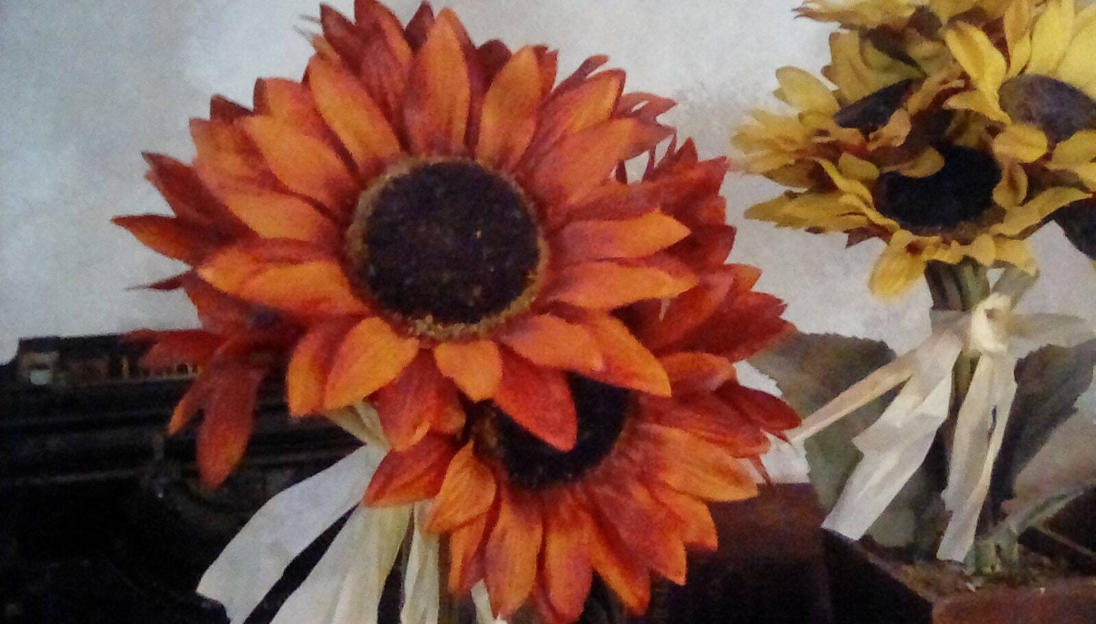 Vintage Silk Daisies in Pots, 1980s With Rafia Ties, 15.5 Inches Tall