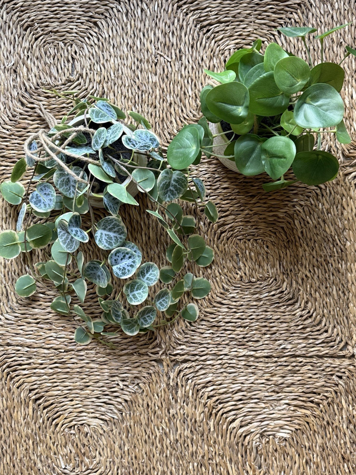 Green Trailing Hanging Faux Plants Set – Hearth & Hand Decorative Home Accent