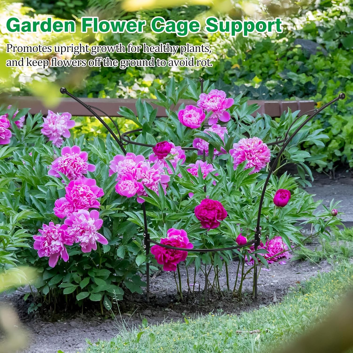4 Pack Peony Cages & Supports Cages 13″ D x 22.8″ H Heavy Duty Metal Support