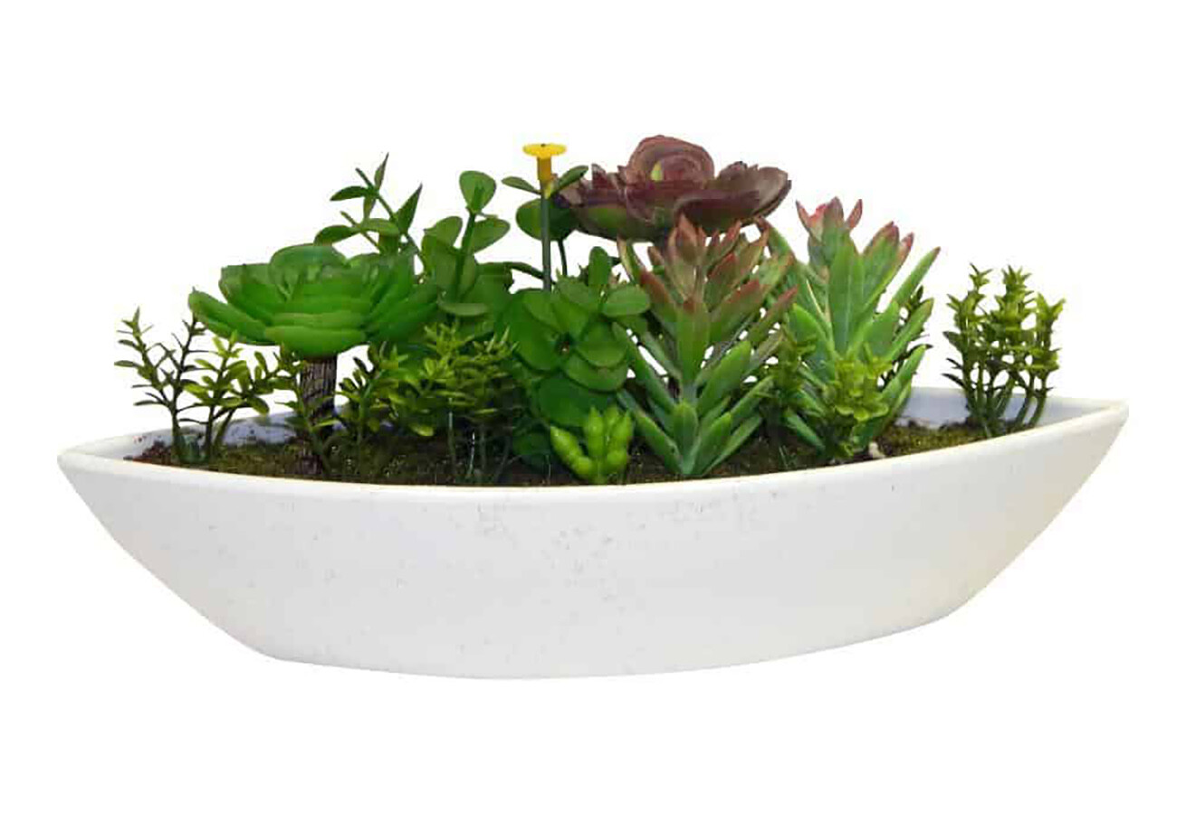 Succulent Fairy Garden – 10″ long x 5″ tall