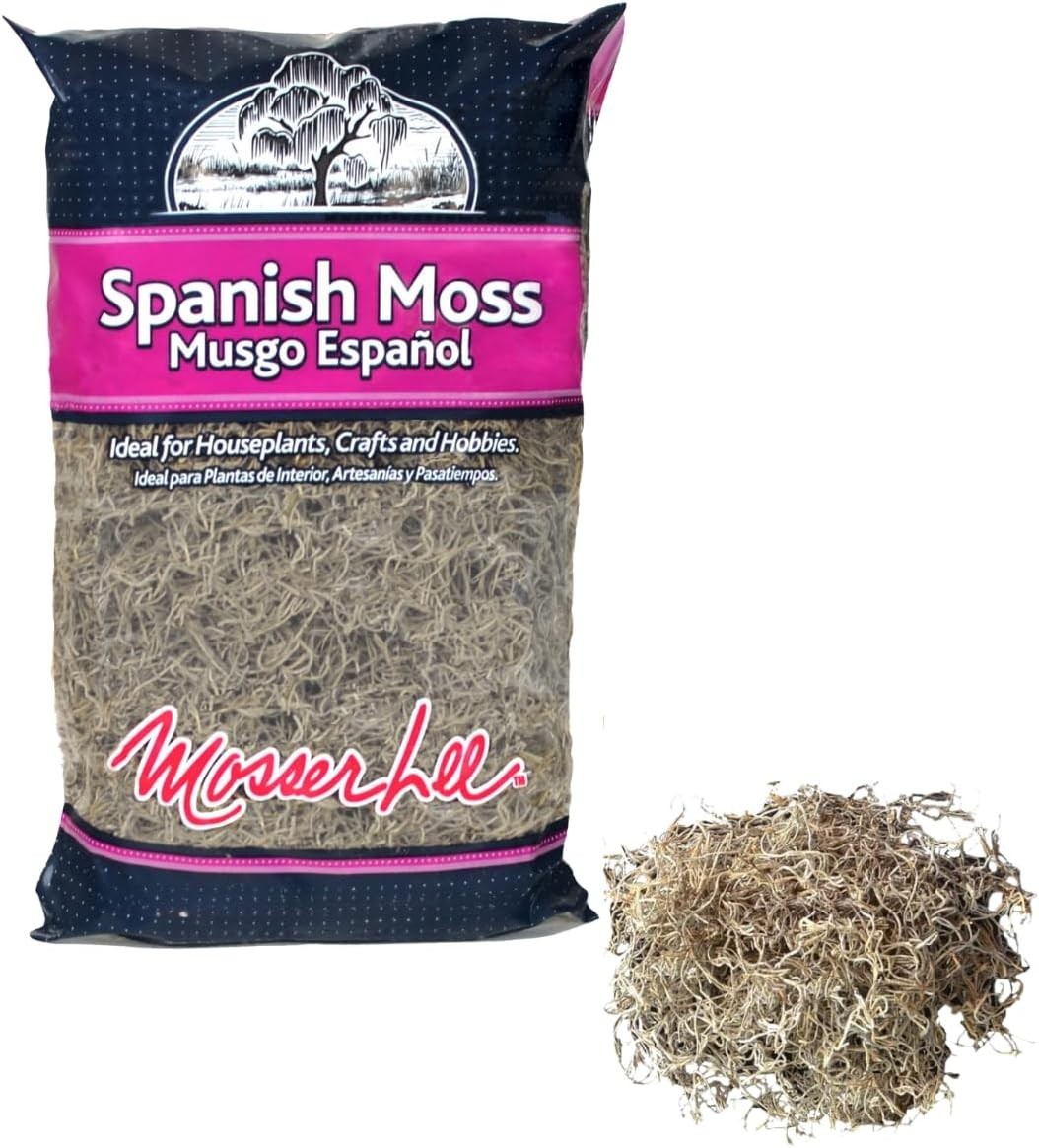 400 Cubic Inches of Spanish Moss – Natural Decorative Moss for Crafts & Plants
