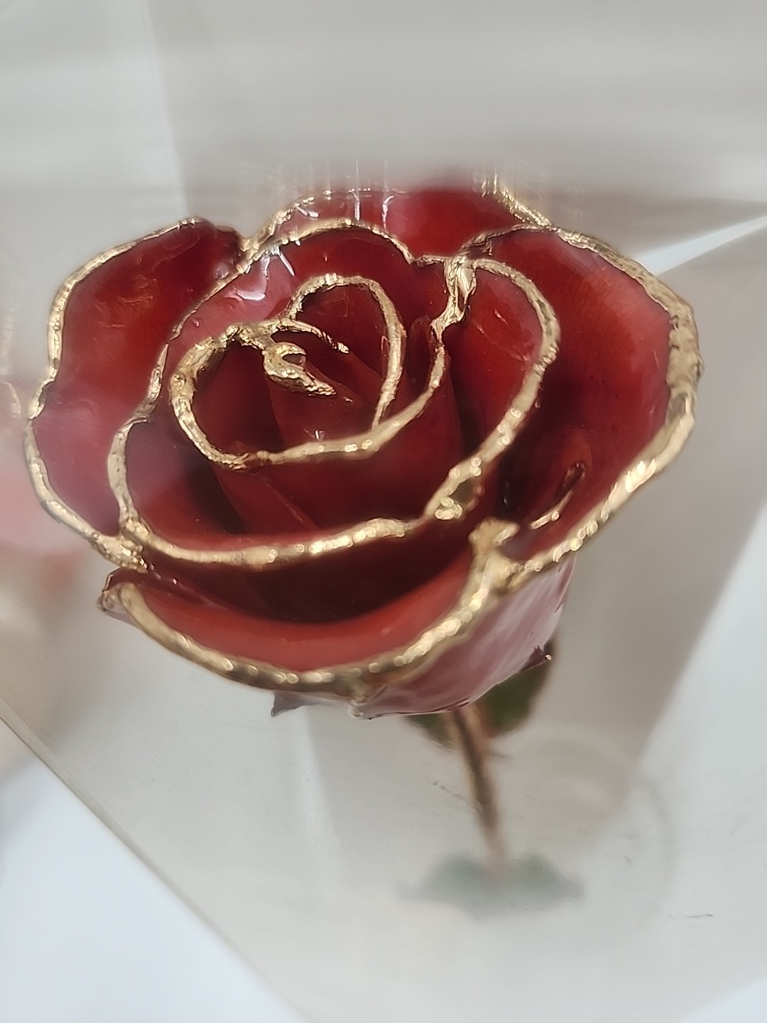 24k Gold Dipped Red Lacquer Real Rose With Beautiful Vase Valentine’s Day