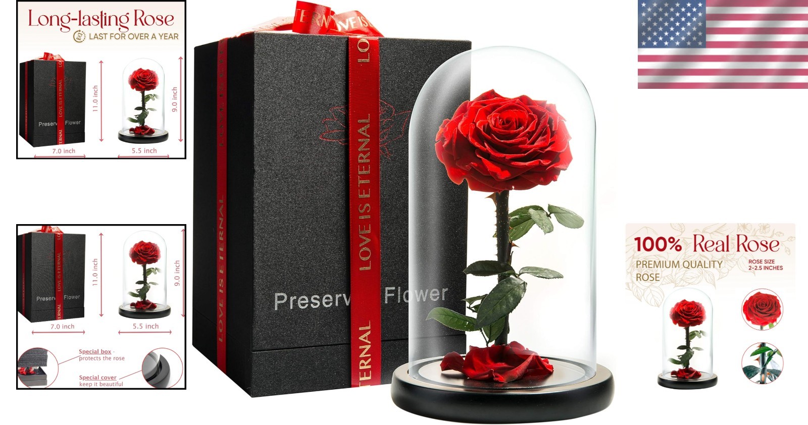 Forever Rose in Glass Dome – Beauty and the Beast Rose