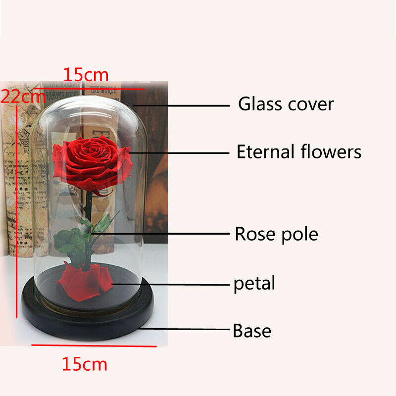 Red Blue Black Pink Forever Flower Immortal Fresh Rose in Glass Valentine’s Day