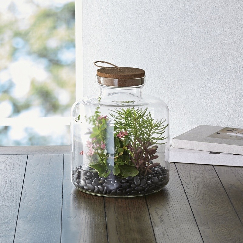 Medium Glass Terrarium Succulents Cacti Air Plants Indoor Outdoor Decor New
