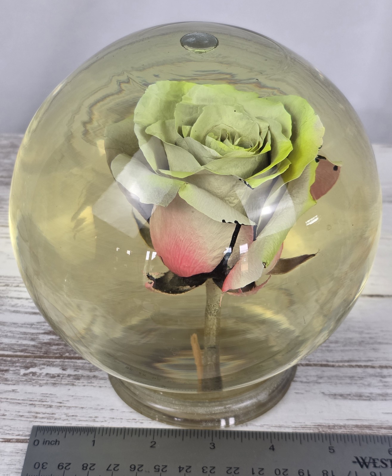 Vintage Forever Yellow/Pink Rose In Glass Ball Water Dome Globe Large 6.5″