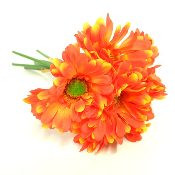 Large Gerbera Daisy Bundle w/6 Blooms For Decorations, Bridal Showers – Orange