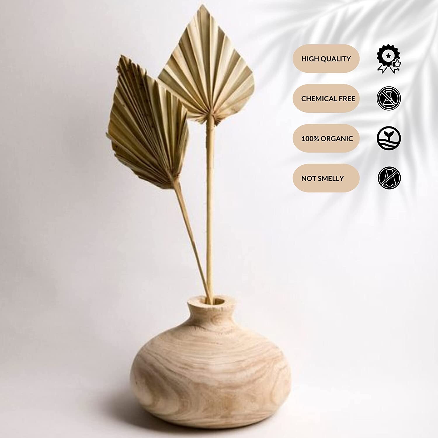 Dried Palm Leaves Pack of 12 Heart Oval Shape Dried Palm Spears