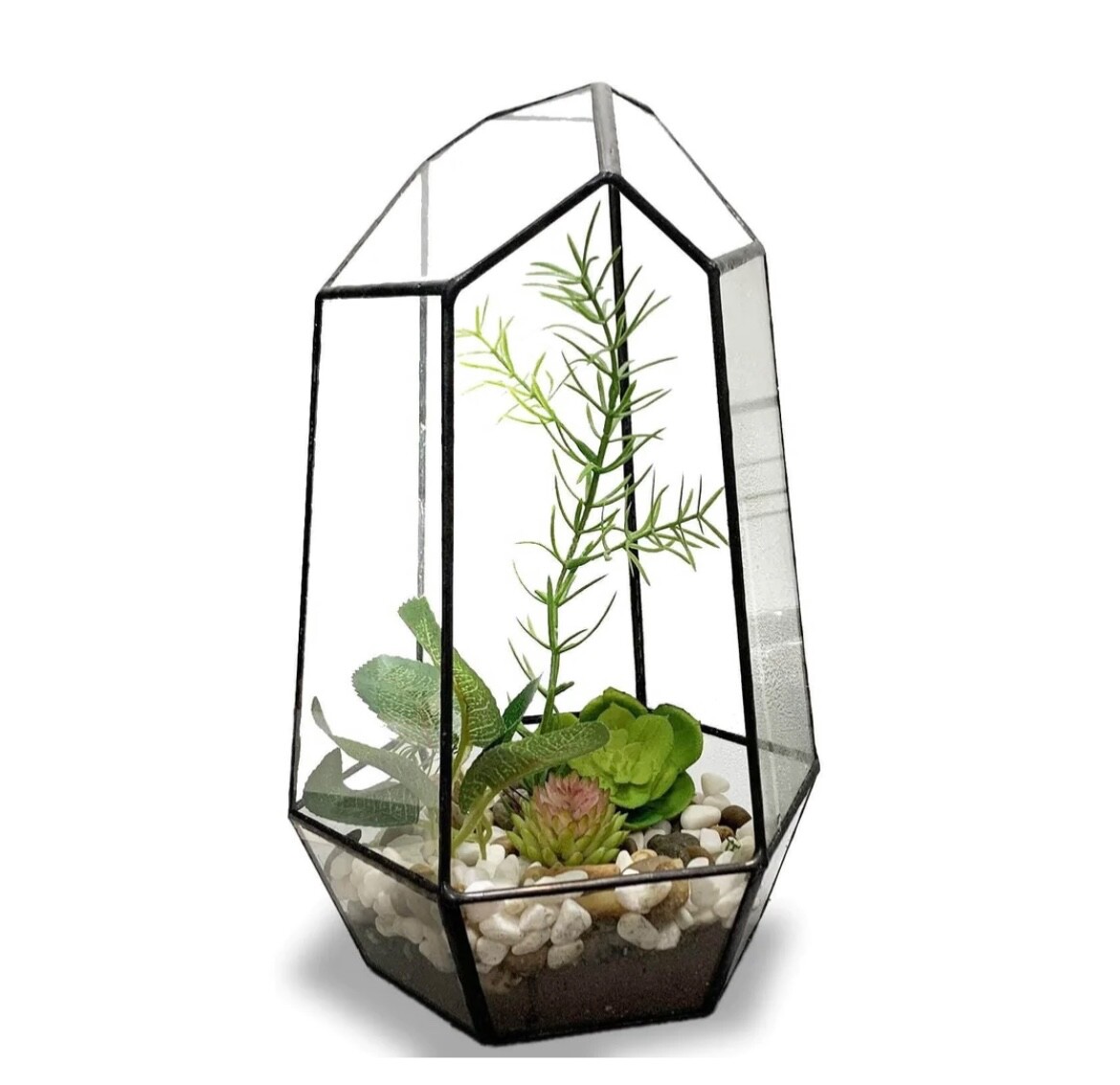 Irregular Open Geometric Terrarium 10” Tall