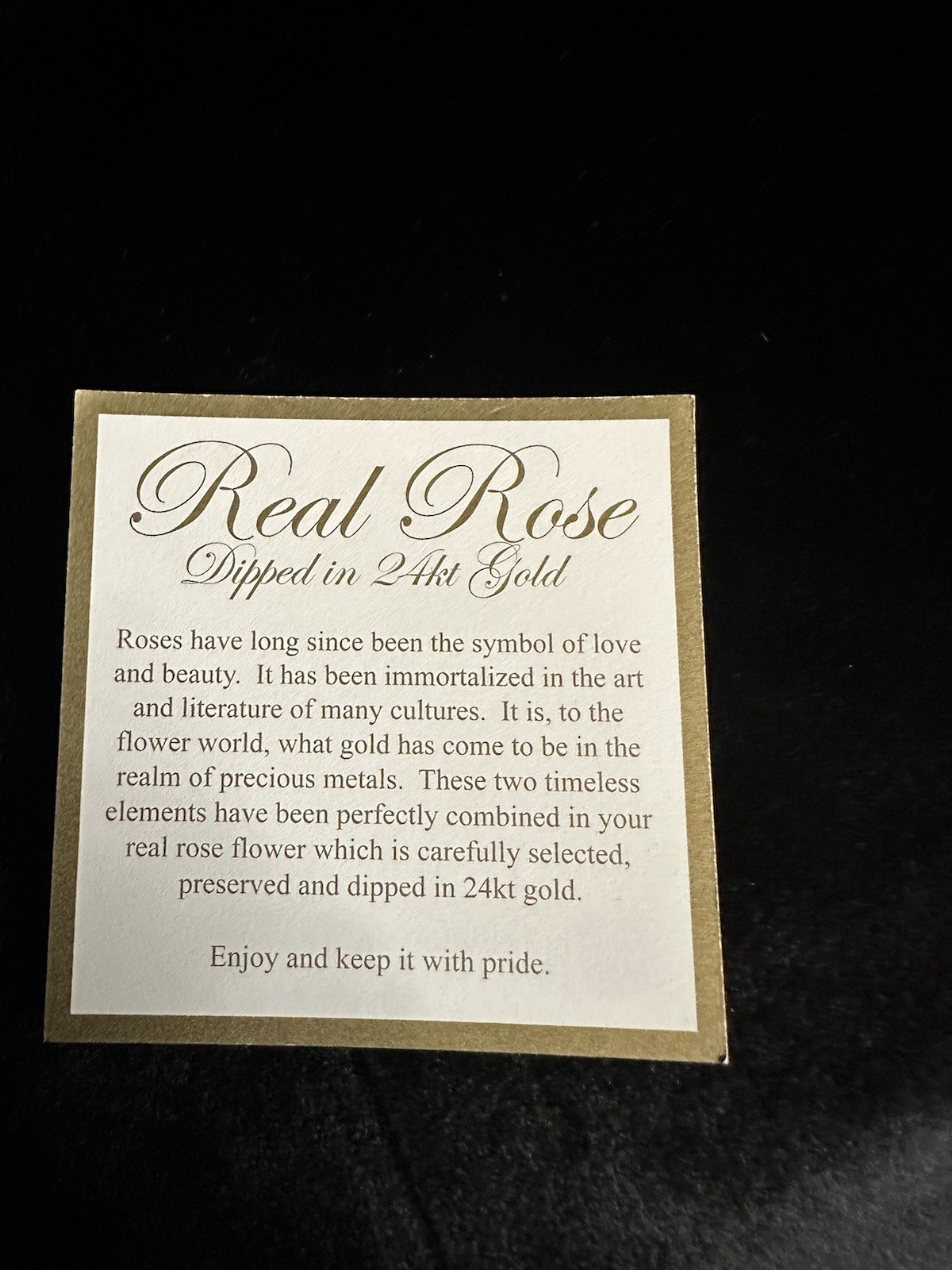 Steven Singer Jewelers 24 Karat Gold Dipped Classic Rose 12” Long