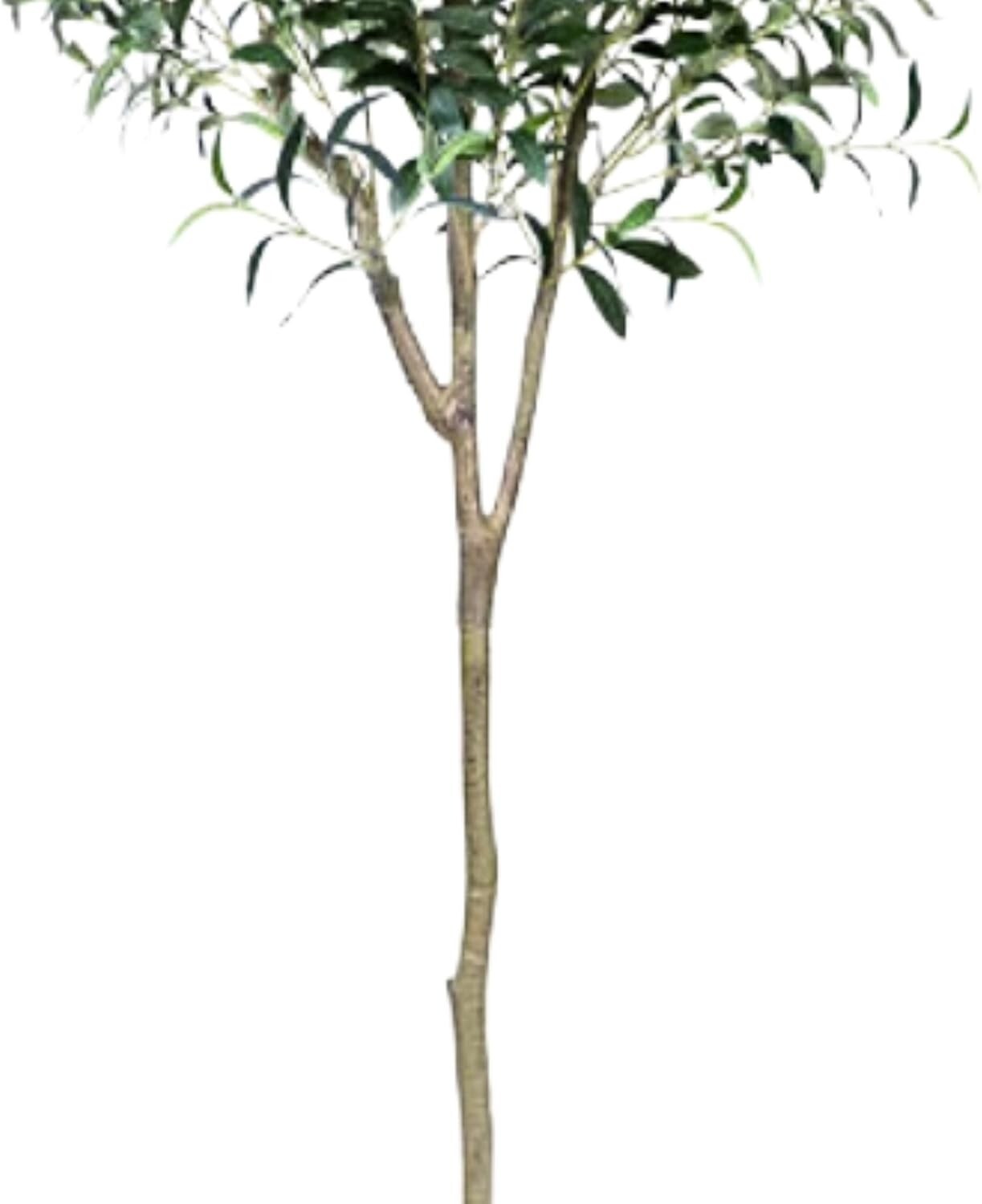 Moss & Bloom 6Ft Artificial Olive Tree in Planter