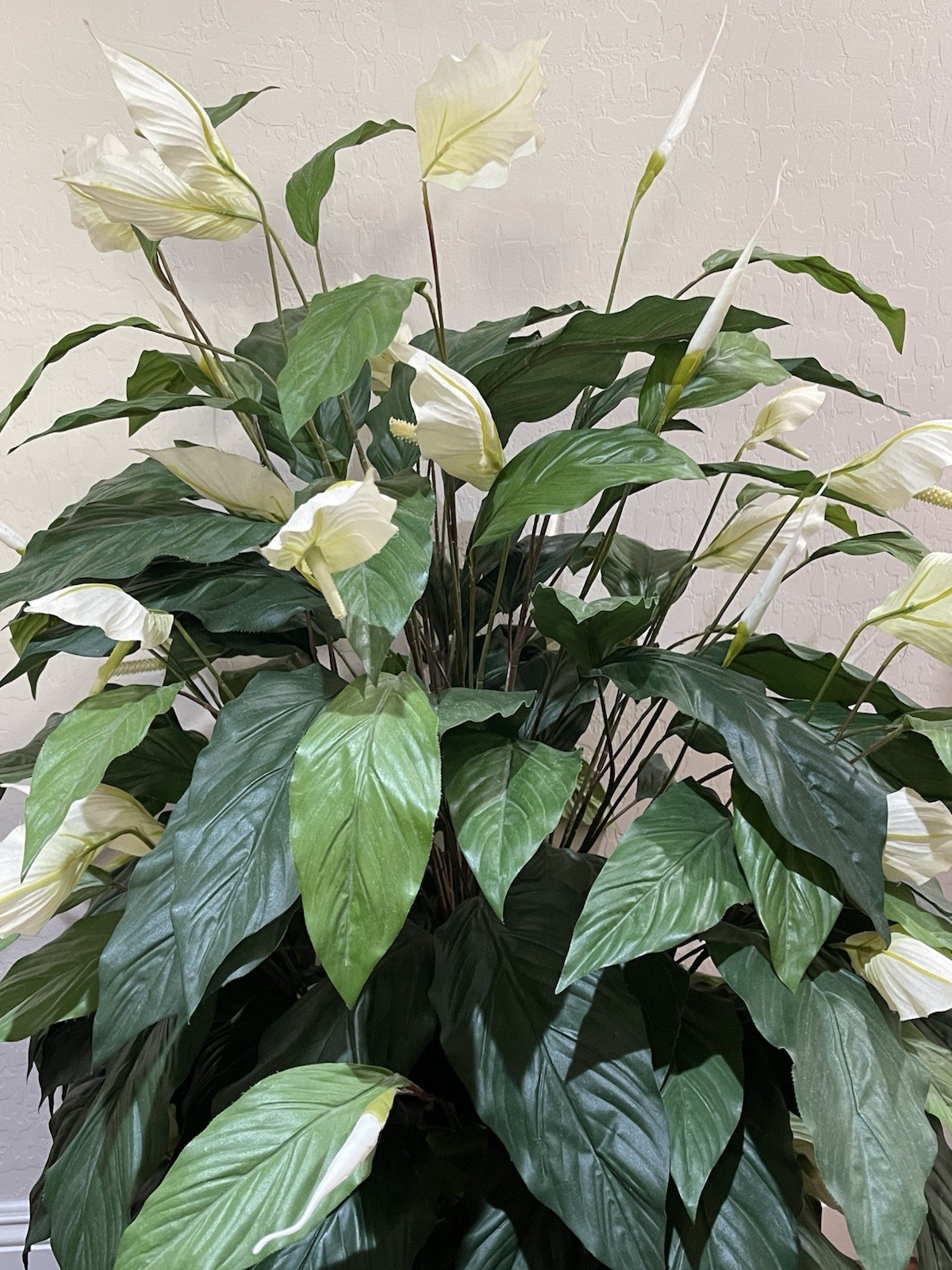 4 ft Artificial Silk Peace Lily Spathiphyllum Heavy 18″ Decorative Ceramic Pot