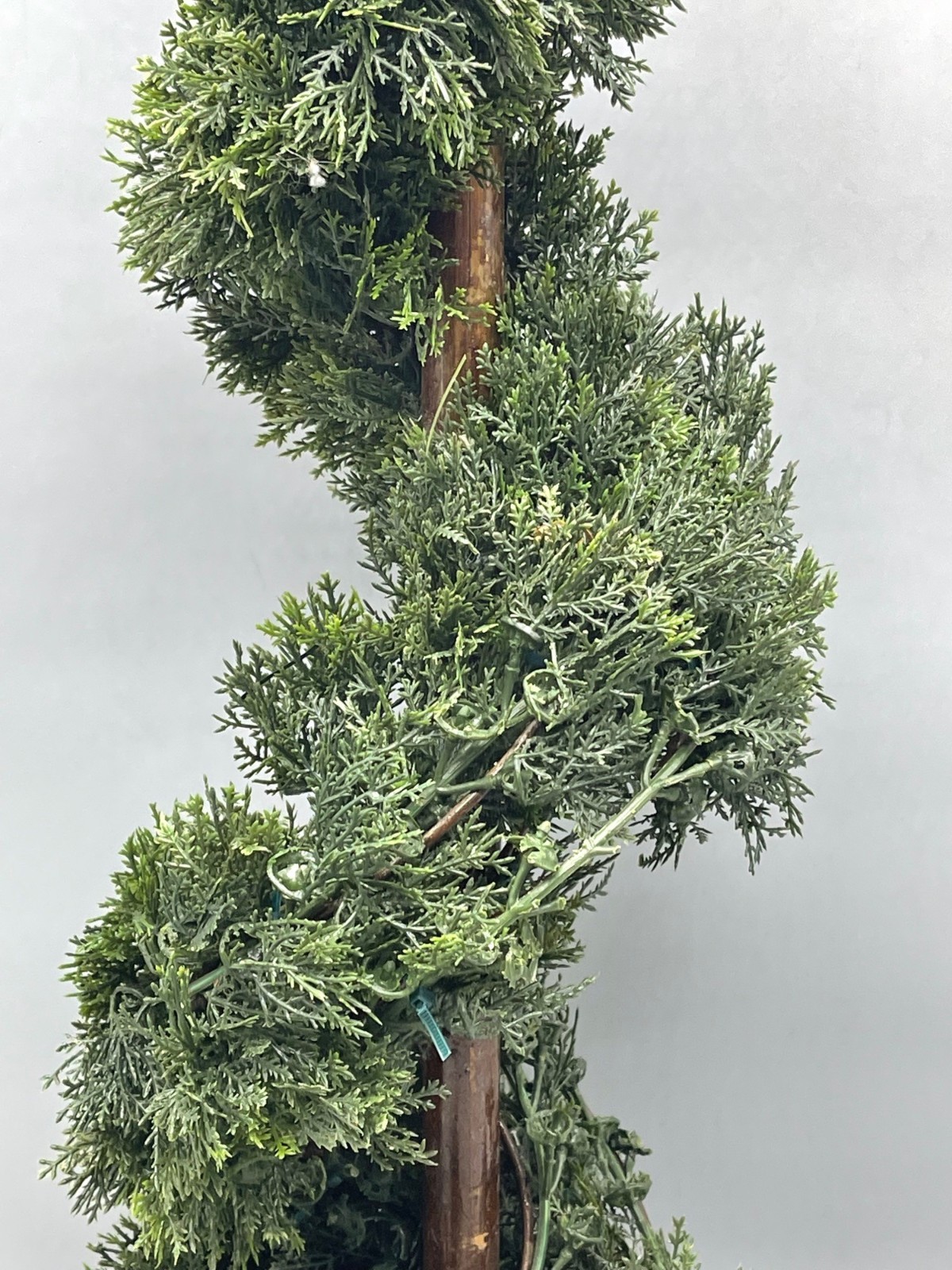 artificial natural looking spiral cedar tree potted 25″ green decor READ used…