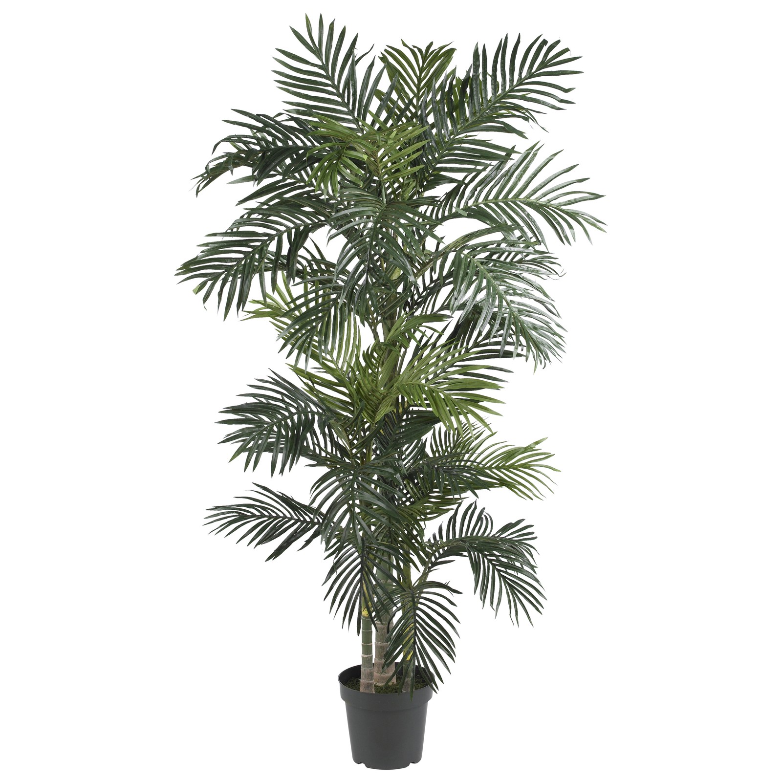 Nearly Natural 6.5-ft Golden Cane Palm Artificial Tree