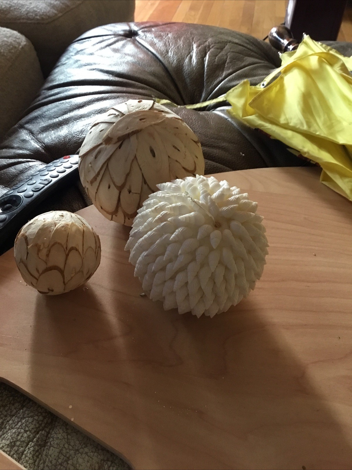 Natural Organic Orb Vessel Filler Bundle