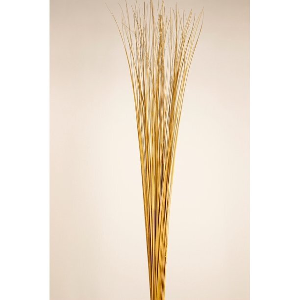 Wispies Pack of 100 Stems 4-5ft Yellow