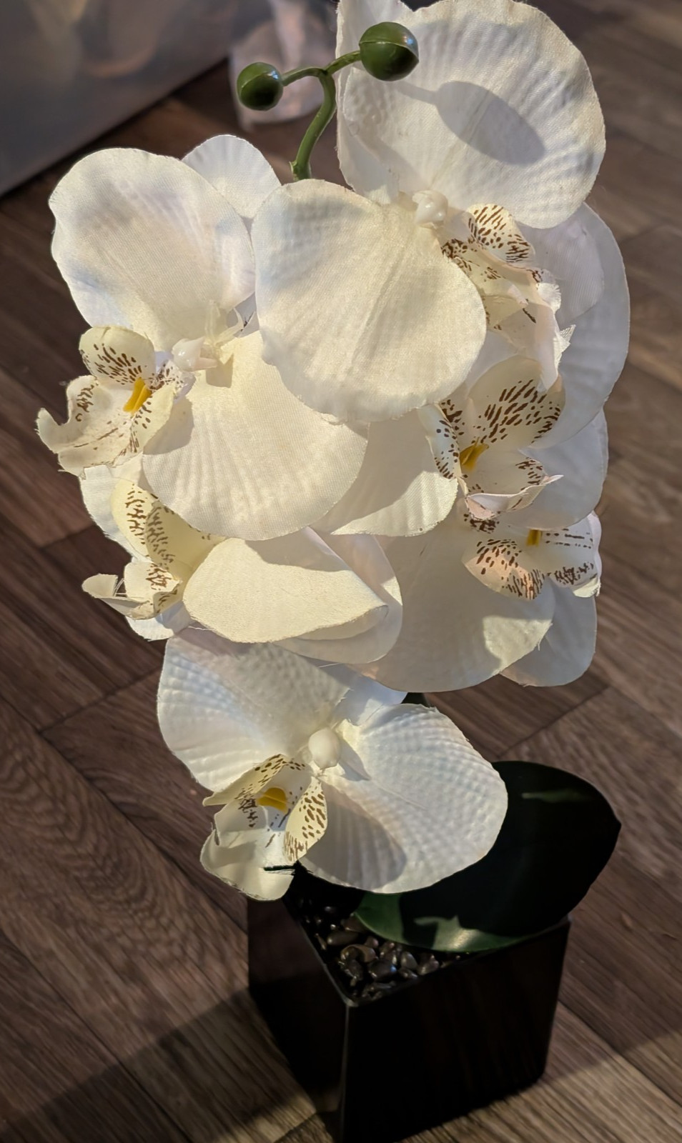 White 16″ Orchid Silk Flower in Black Vase