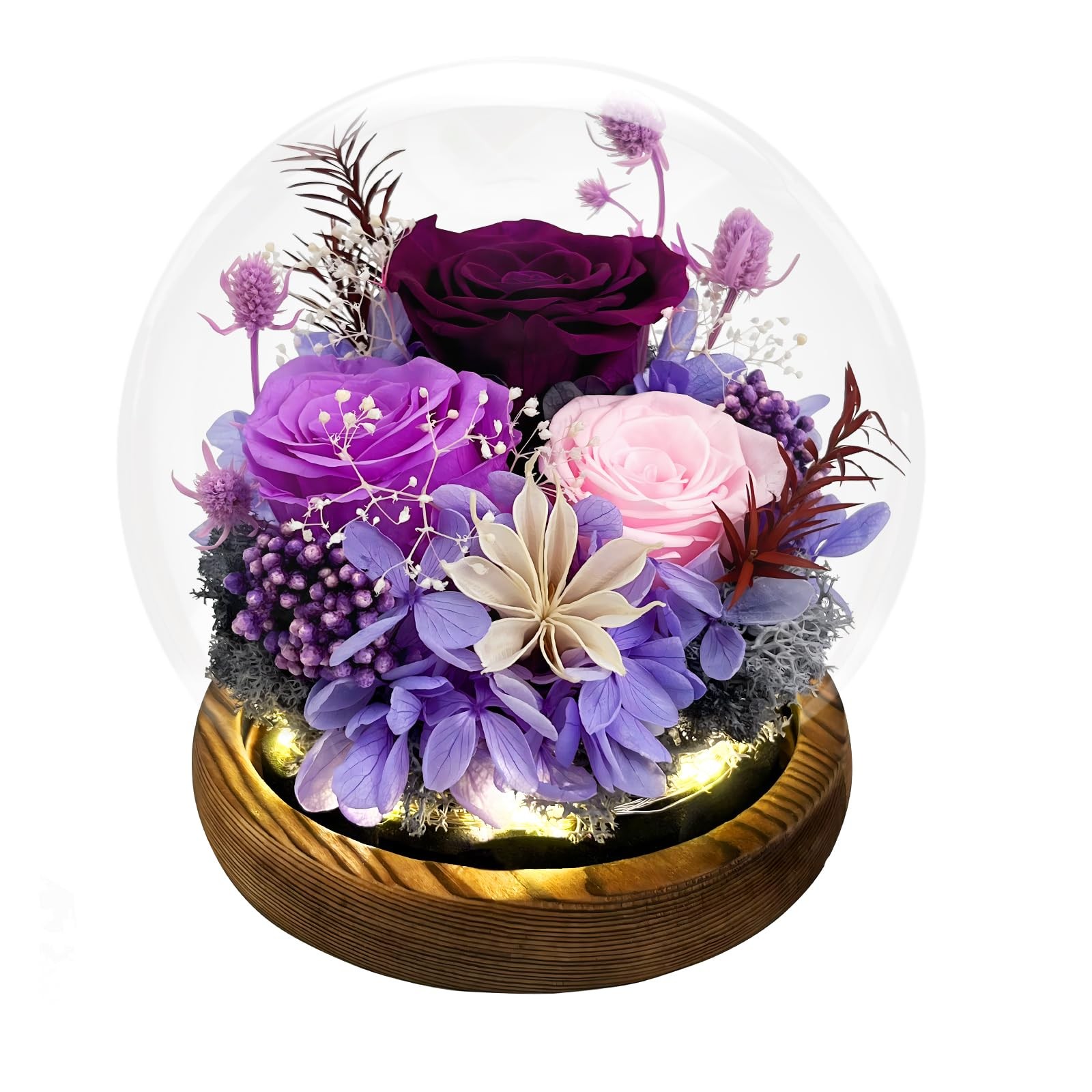 Preserved Eternal Rose in Glass Dome Led Light Flower Mothers Day Gifts for Mom