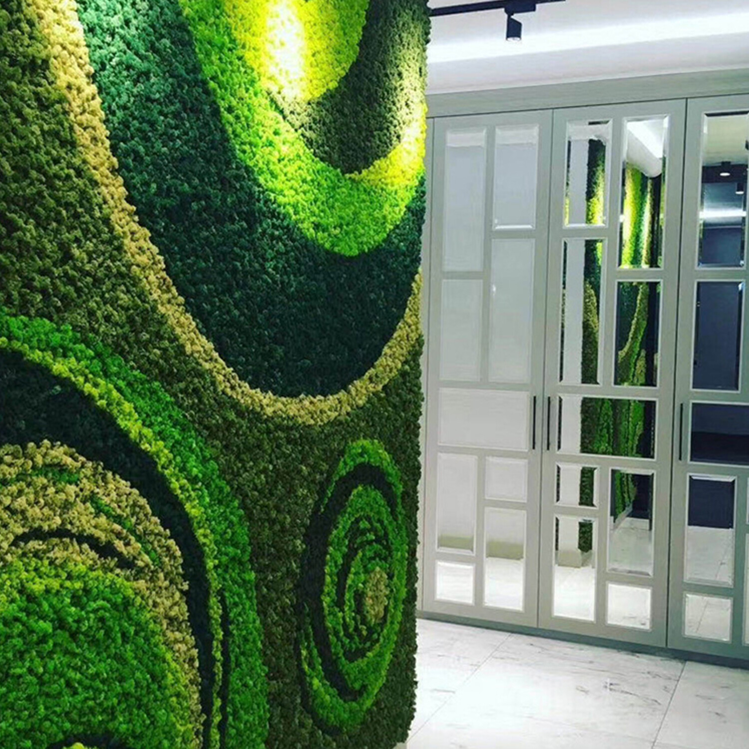 Preserved Moss Wall Decor Real Preserved Moss No Maintenance Required Z4F9