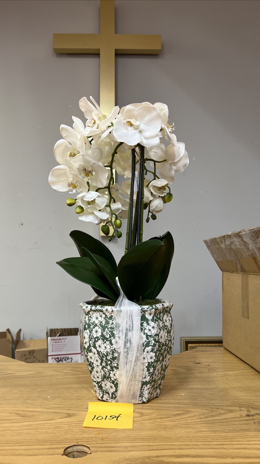 22″ Orchid Green White In Ceramic Pot Planter Valerie Parr Hill