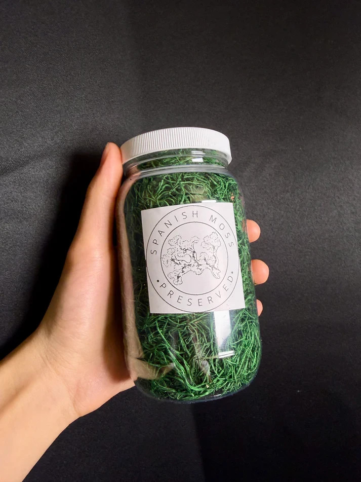 Preserved Green Spanish Moss (Compressed Portion) – 16 oz Natural Craft & Decor