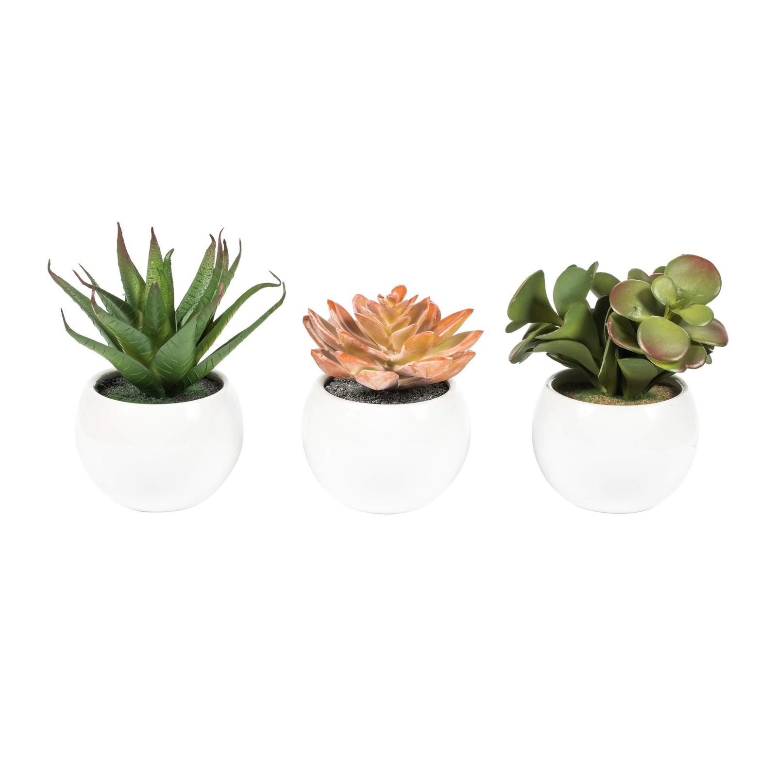 Vickerman 5″ Plastic Artificial Assorted Potted Succulents in Green/Red/Gray