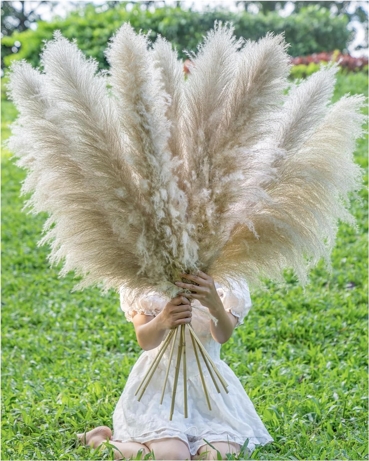 15 Stems 43” inch Pamwee Natural Dried Pampas Grass Decor Tall, Large and Fluffy