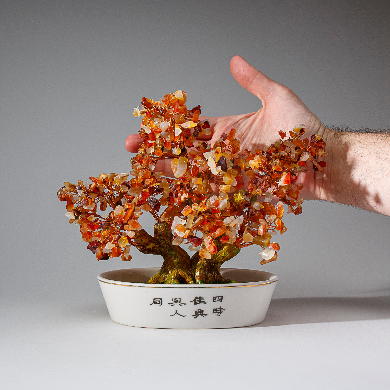 Genuine Carnelian Bonsai Gemstone Tree in Oval Ceramic Pot (8”)