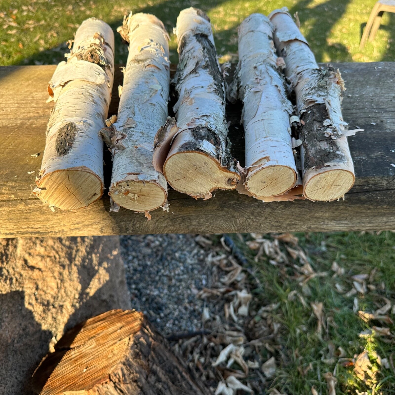 White Birch 5 Pc 14”-16” Long nice Decor Log Set Real Wood dried
