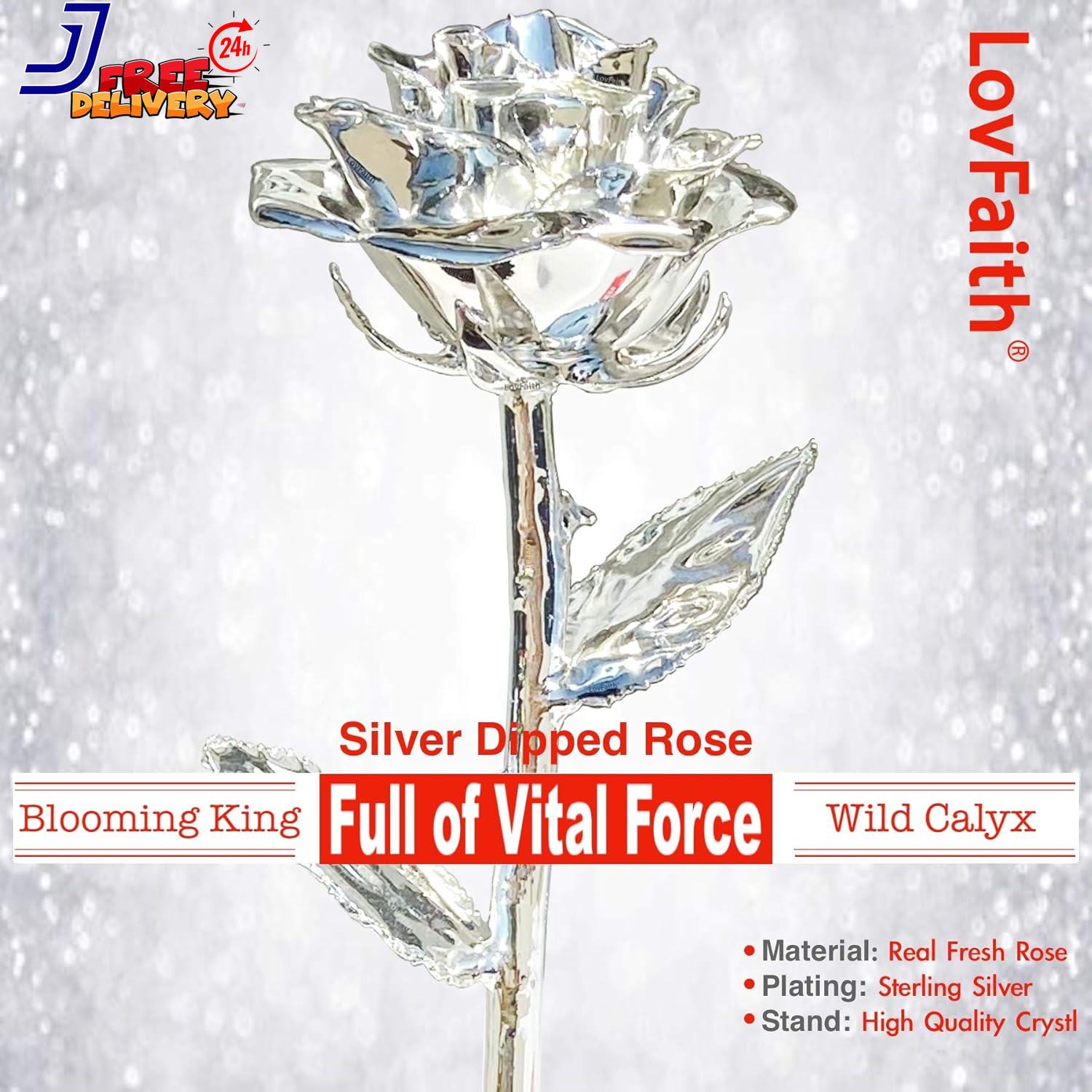 Valentine Gift Silver Dipped Real Rose Best 25th Anniversary Gift for Wife Mom