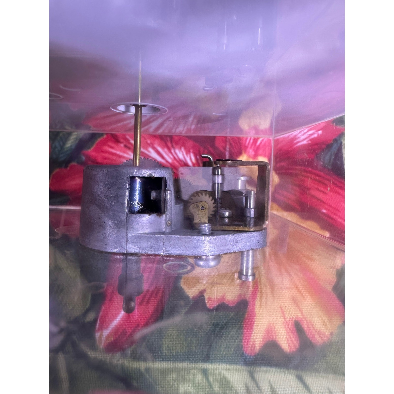 Vintage Unique Monarch Butterfly Clear Working Musical Box