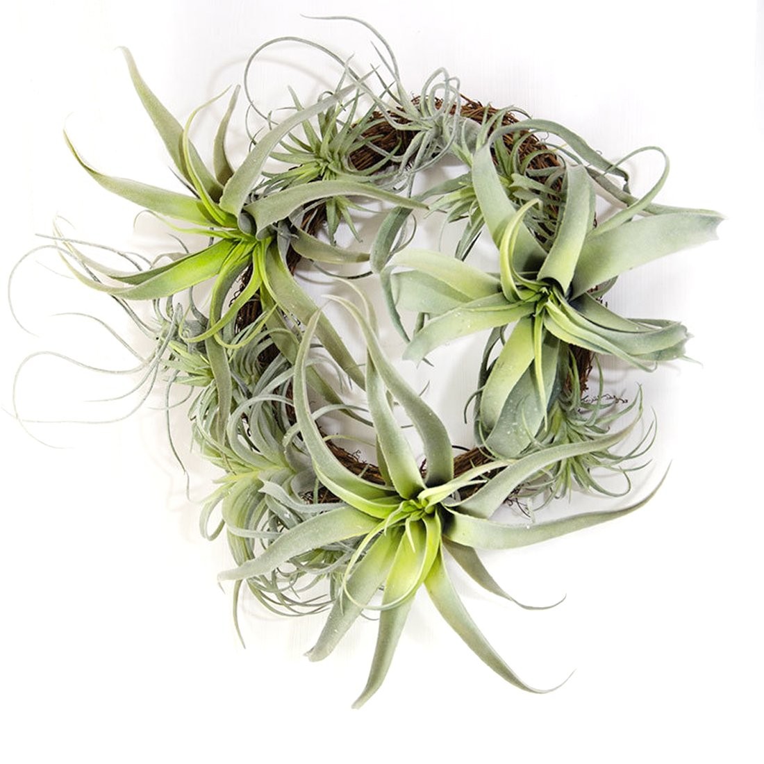 5PCS Artificial Flocking Tillandsia Plants Faux Succulents Bromeliads for Ind…
