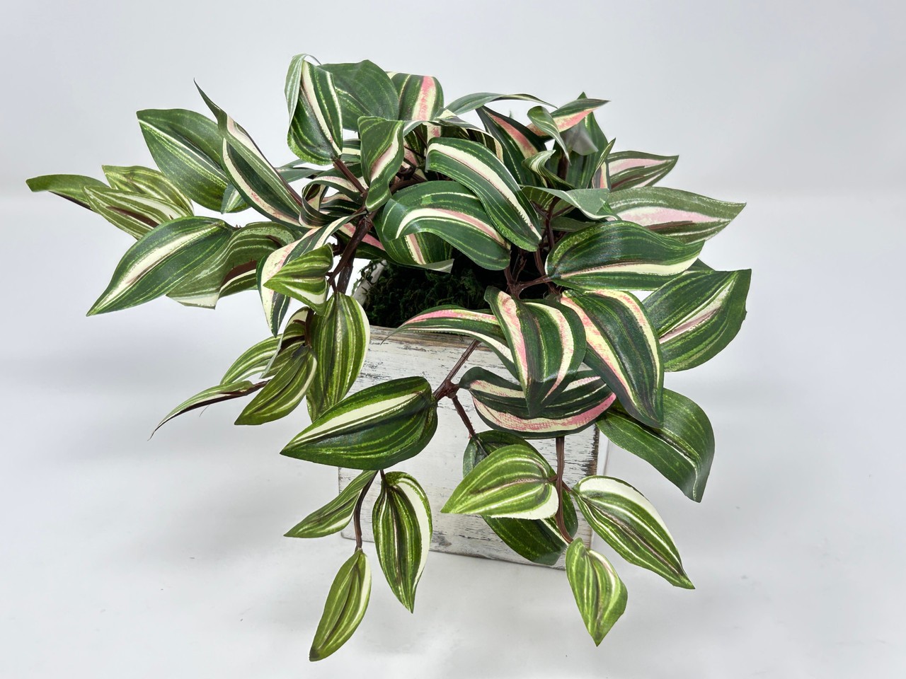 8″ Potted faux silk Green-Pink-White Jew TRADESCANTIA Vine INCH plant in White w