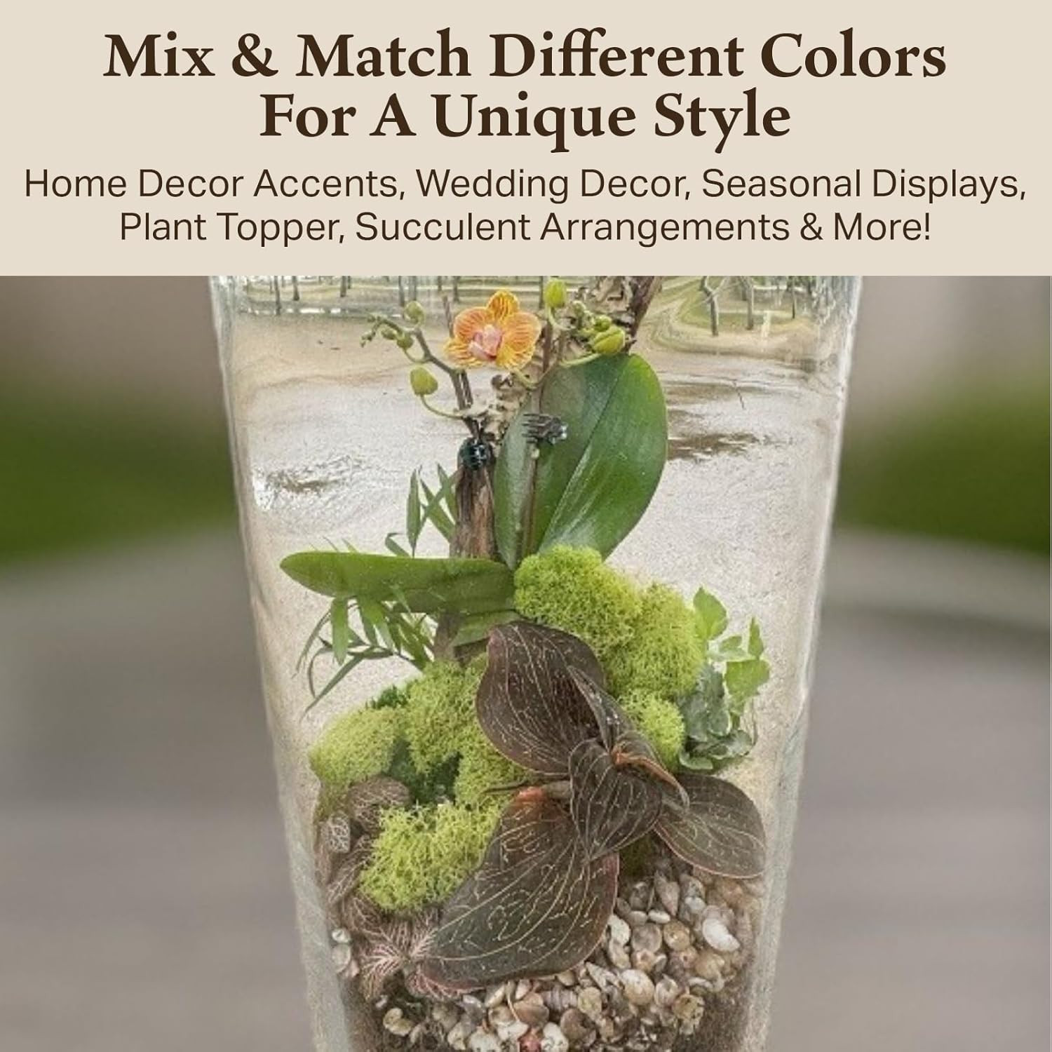 Preserved Reindeer Moss – Moss for Crafts, Home Decor, Art, Design & DIY Project