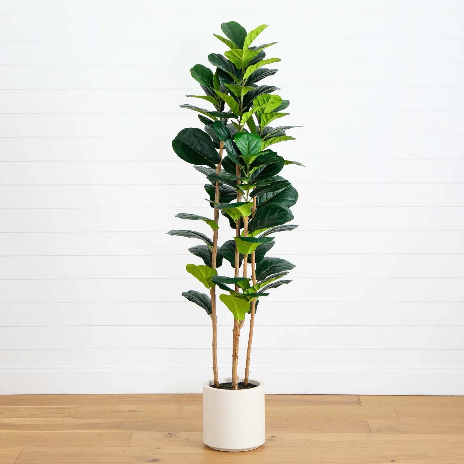 6 Ft. Artificial Fiddle Leaf Tree in Decorative White Planter.