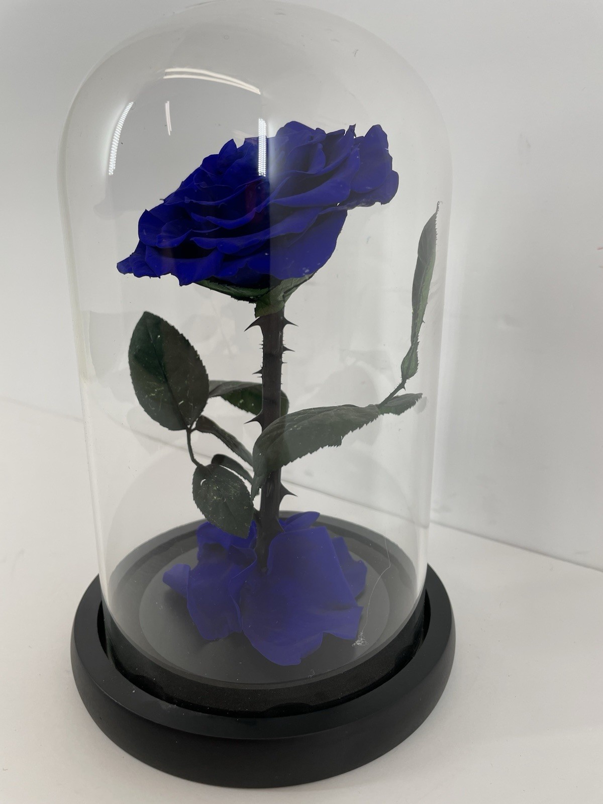 Preserved Rose in Glass Dome Eternal Enchanted Forever Purplish Blue