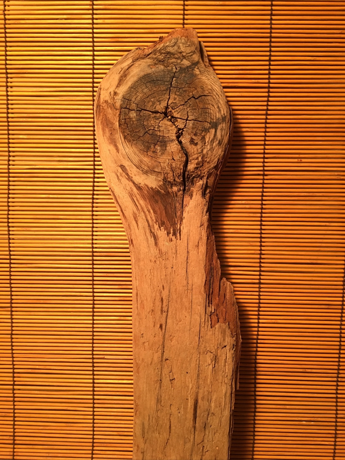 Beautiful 21” DRIFTWOOD Piece Terrarium Aquascape Floral Decor Crafts Art