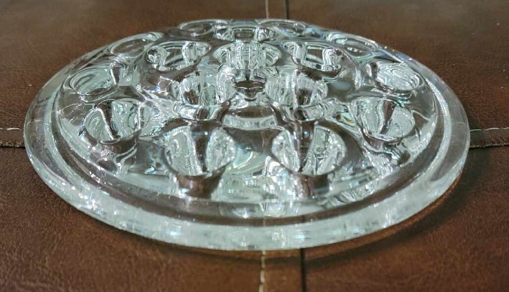 Clear Glass Flower Frog Stem Holder for Vase / Excellent Paperweight