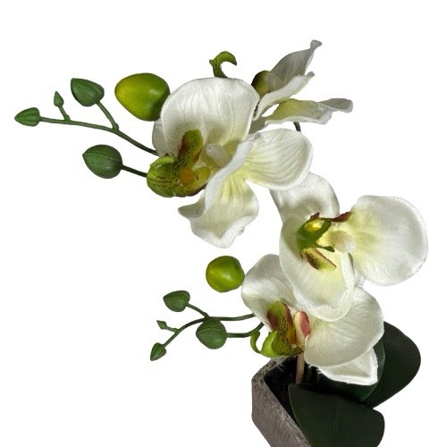 Potted Orchid Plant Faux Phalaenopsis Flowers Realistic Home Decor in Stone Pot