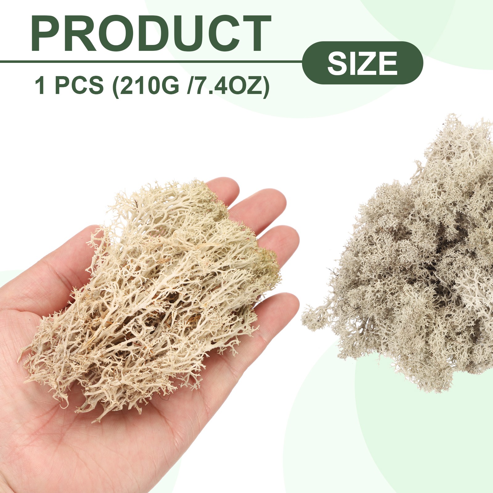 7.4oz Preserved Reindeer Moss, Natural Beige  Decorative Artificial Fake Moss