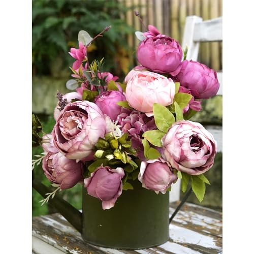 Soft Peach Pink and Magenta Celestial Beauty (Soft Peach Pink and Magenta Red)