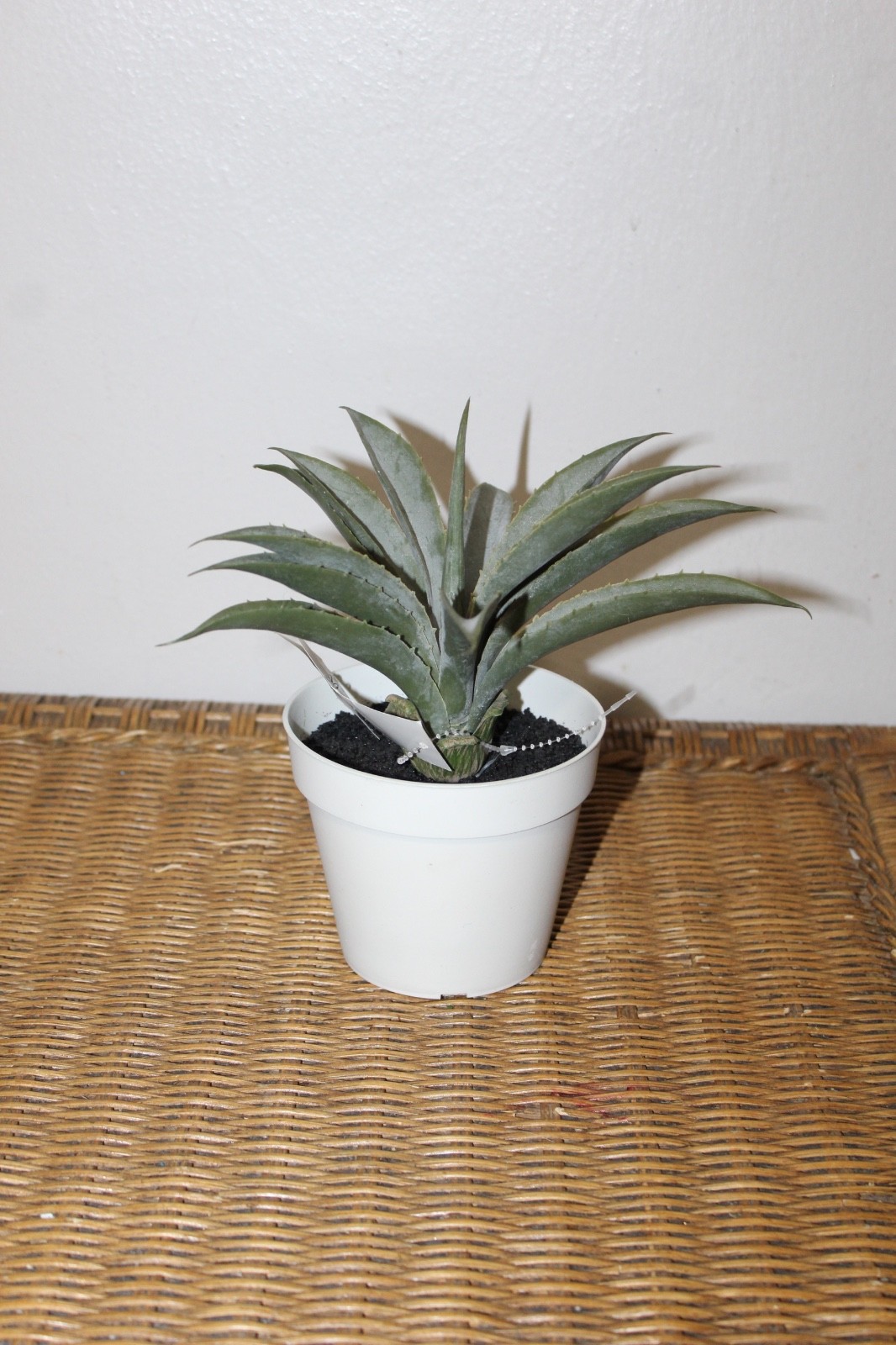 Williams Sonoma Artificial Potted Aloe.
