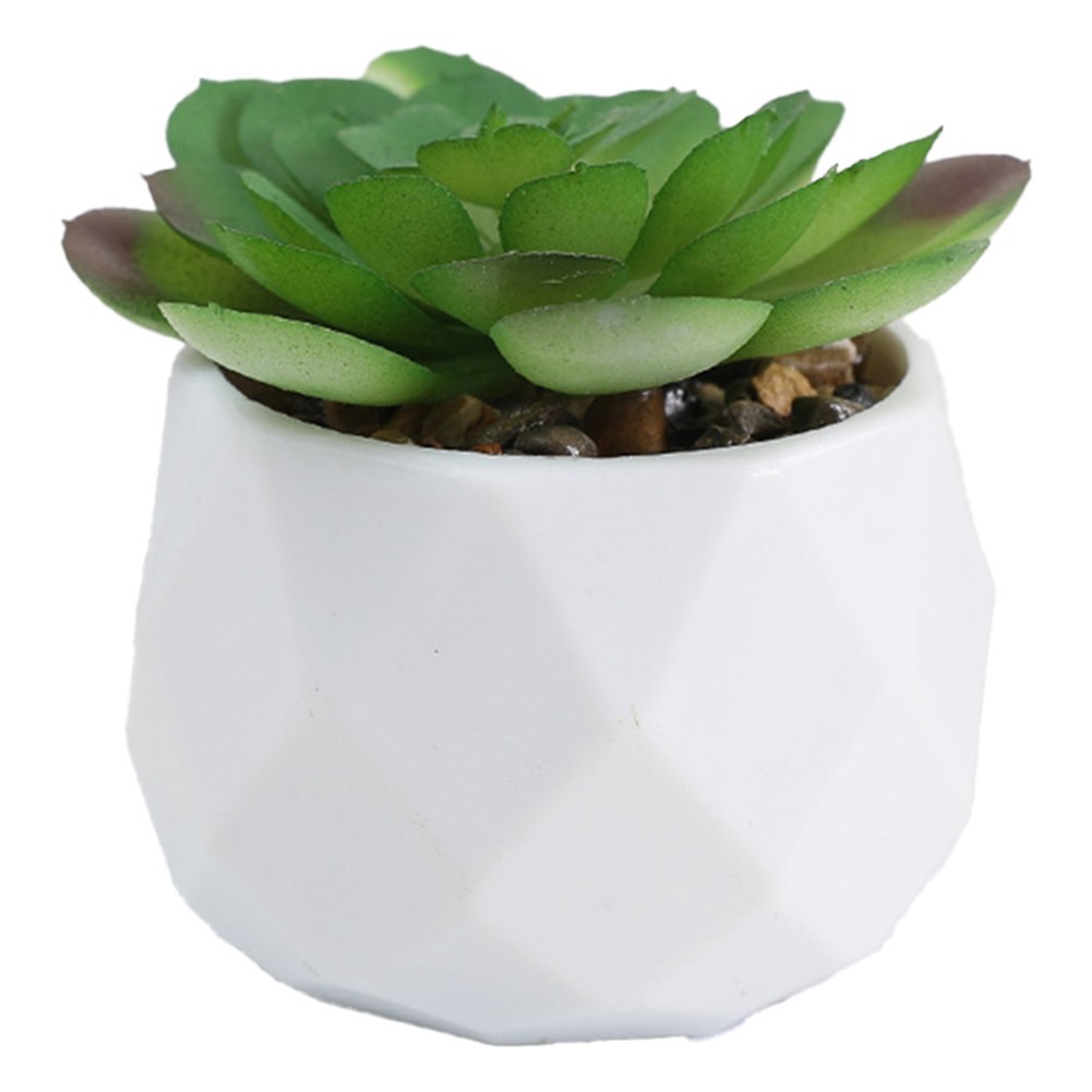 3pcs Elegant Artificial Succulent Plants for For home and Office Display